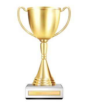 What is a Trophy Domain Name ?